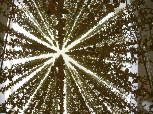 Neiman Marcus by null