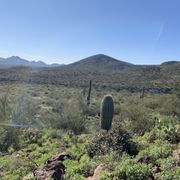 SPUR CROSS RANCH CONSERVATION AREA - 202 Photos & 44 Reviews - 44000 N ...