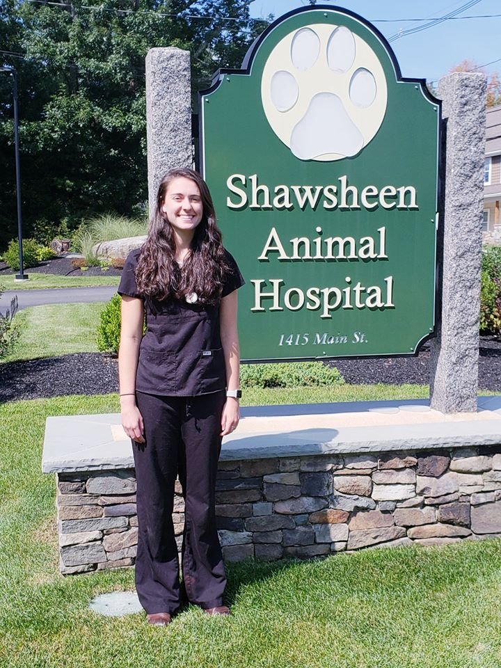 Shawsheen Animal Hospital Updated Covid 19 Hours Services 29 Photos 34 Reviews Veterinarians 1415 Main St Tewksbury Ma Phone Number Yelp