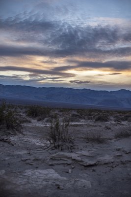 Mesquite Spring Campground by null