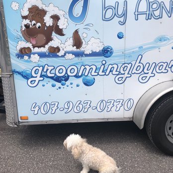 Grooming By Arneth - Pet Groomers Near Me