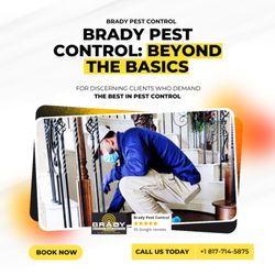Brady Pest Control - Local Pest Control Treatments