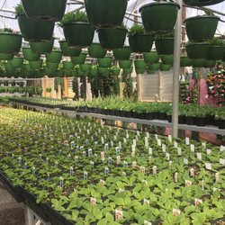 McAllister Greenhouses