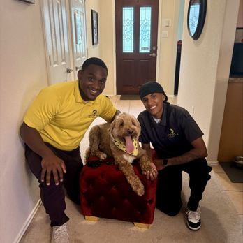 Tip Top K9 - Pet Training Near Me - Humble, Texas