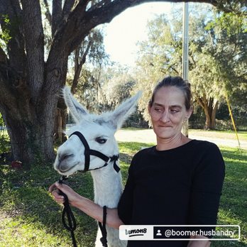 Boomer Husbandry Services - Farriers Near Me - Dunnellon, Florida Boomer Husbandry Services - Farriers Near Me - Dunnellon, Florida