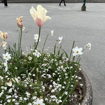 Queen Elizabeth Park - Parks Near Me - Vancouver, British Columbia