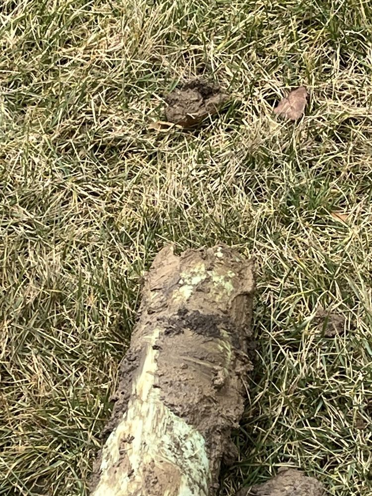 Slide of Allen Home Services