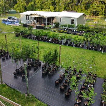 Fruit Trees Only - Aerial view of the nursery - Nurseries & Gardening Near Me - St. Augustine, Florida