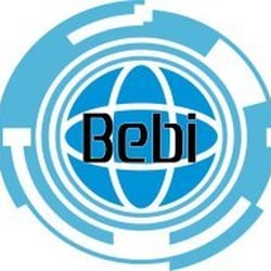 Bebi Tech Consulting