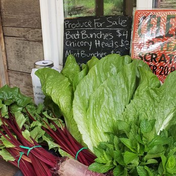 Scratch Brewing Company - Vegetable sale today - Breweries Near Me - Ava, Illinois Scratch Brewing Company - Vegetable sale today - Breweries Near Me - Ava, Illinois