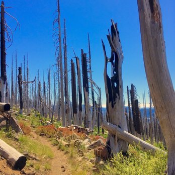 Three Fingered Jack - NWP Trail - Climbing Near Me - Sisters, Oregon