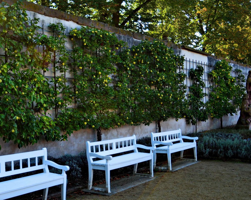 Ehemalige Benediktinerabtei Seligenstadt