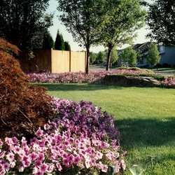 Aloha Home and Garden - Our landscapes are designed with the customer in mind!