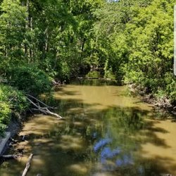Hines Park - Who knows what sediments and pollutants flow through here?