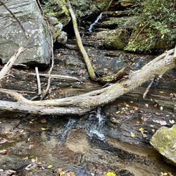 Jones Gap State Park - Toll Road Falls