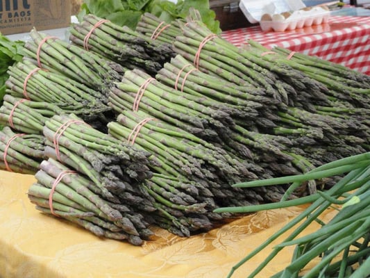 Hip Donelson Farmers Market by null