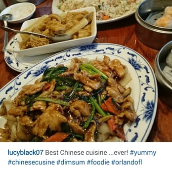Lam’s Garden - Yummy - Dim Sum Near Me - Orlando, Florida Lam’s Garden - Yummy - Dim Sum Near Me - Orlando, Florida
