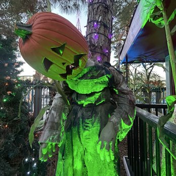 The Magical Forest - Amusement Parks Near Me - Las Vegas, Nevada The Magical Forest - Amusement Parks Near Me - Las Vegas, Nevada