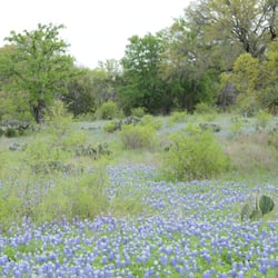 Shaffer Bend Recreation Area