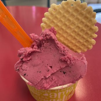Pompelmo Gelateria - taste the tropics - Gelato Near Me - Westerly, Rhode Island