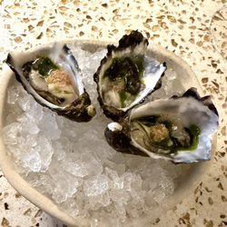 Doot Doot Doot - Tasmanian Boomer Bay Oyster, lavoge, finger lime