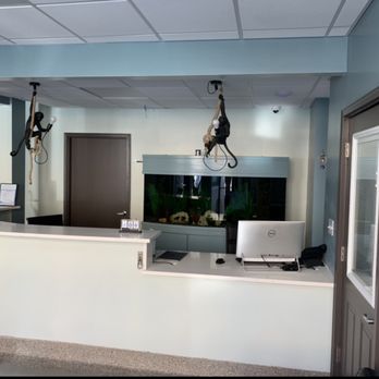 Paws and Feathers Emergency Hospital - Emergency Pet Hospital Near Me - Chicago, Illinois Paws and Feathers Emergency Hospital - Emergency Pet Hospital Near Me - Chicago, Illinois