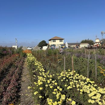 The Farm - Fruits & Veggies Near Me - Salinas, California The Farm - Fruits & Veggies Near Me - Salinas, California