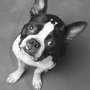Photo of Rhonda Holcomb Photography