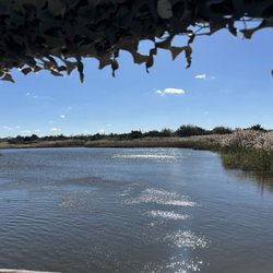 The Wetlands Institute - Wetlands