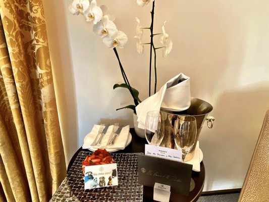 Hotel Eden by null Hotel Eden by null