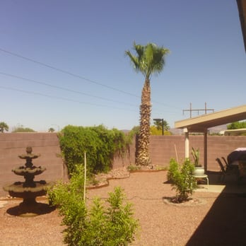 Vegas Best Tree Services - Tree Services Near Me - Las Vegas, Nevada