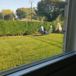 Taming the monster hedge Taming the monster hedge