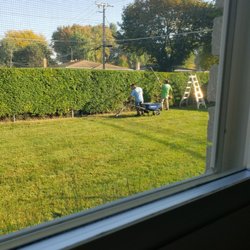 Greenline Lawn Service - Taming the monster hedge
