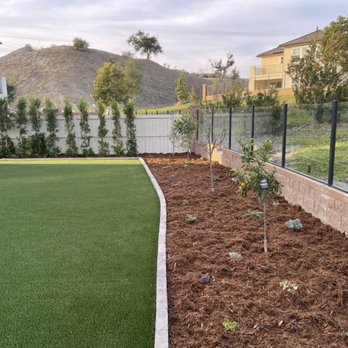 JIT Landscape and Design - Succulents with redwood, Indian laurels, 5 fruit and citrus - Tree Services Near Me JIT Landscape and Design - Succulents with redwood, Indian laurels, 5 fruit and citrus - Tree Services Near Me