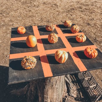 Mazing Acres Pumpkin Patch - Pumpkin Patches Near Me - Yankton, South Dakota