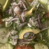 Ostioneria Colima gift card