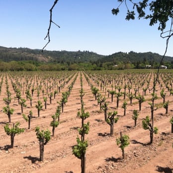 David Fulton Winery - Wineries Near Me - St Helena, California