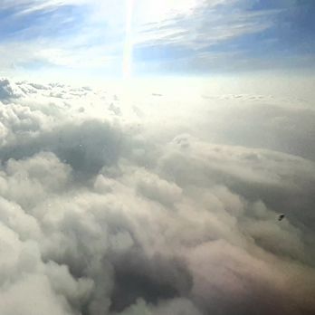 Clarity Solutions - Flying to Georgia - Business Consulting Near Me - St. Louis, Missouri Clarity Solutions - Flying to Georgia - Business Consulting Near Me - St. Louis, Missouri