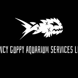 Fancy Guppy Aquarium Services