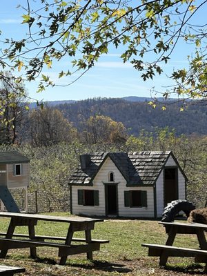 Sky Top Orchard by null