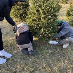 Watson Tree Farm - Dec 8.