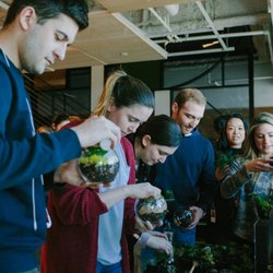 Terrarium Making corporate event