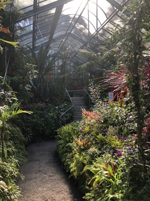 Pukekura Park by null