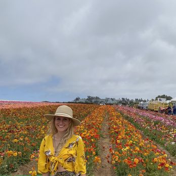 The Flower Fields - Venues & Event Spaces Near Me - Carlsbad, California