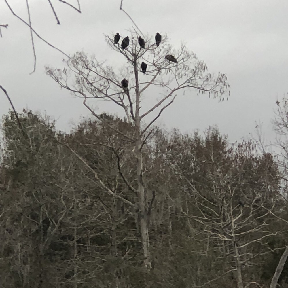 Blanchard Park - Parks Near Me - Orlando, Florida