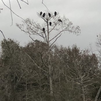 Blanchard Park - Parks Near Me - Orlando, Florida Blanchard Park - Parks Near Me - Orlando, Florida