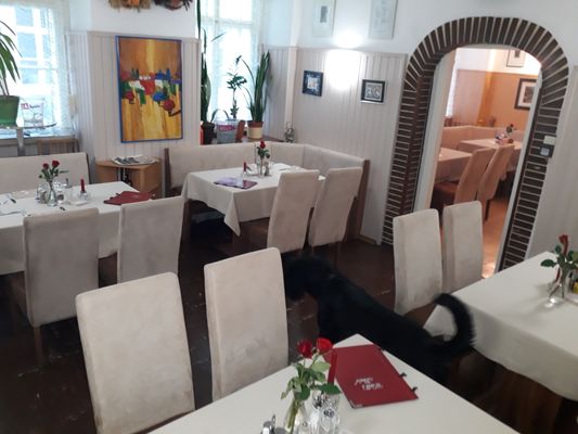 Beisl in der Sigmundsgasse by null