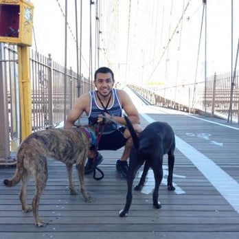 Paws & Pals - Andre, lead Brooklyn walker - Dog Walkers Near Me - Brooklyn, New York Paws & Pals - Andre, lead Brooklyn walker - Dog Walkers Near Me - Brooklyn, New York