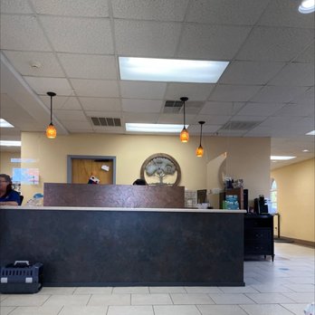 Veterinary Services of Aiken - Check in - Veterinarians Near Me - Aiken, South Carolina Veterinary Services of Aiken - Check in - Veterinarians Near Me - Aiken, South Carolina