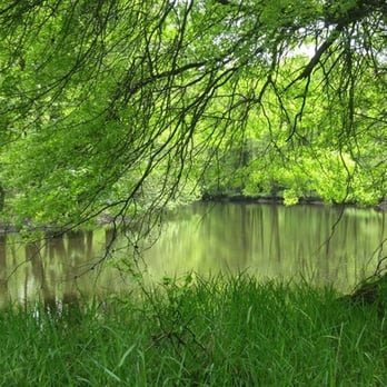 Great Piece Meadows Preserve - View from the lakeside trail in mid-April - Hiking Near Me Great Piece Meadows Preserve - View from the lakeside trail in mid-April - Hiking Near Me